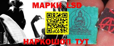 ПСИЛОЦИБИНОВЫЕ ГРИБЫ Аргун