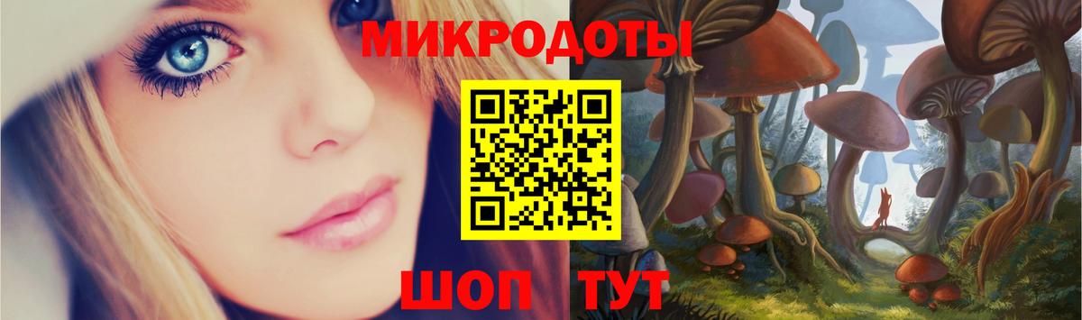 Галлюциногенные грибы Cubensis Брянск