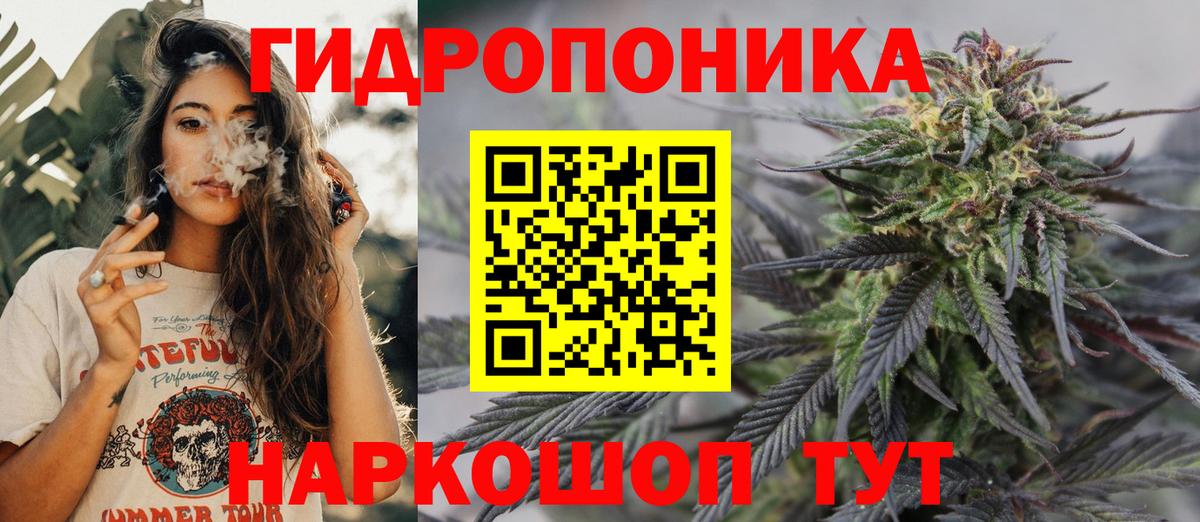 Канабис White Widow  МАРИХУАНА Amnesia  Брянск  Вход с VPN  Бошки марихуана гибрид 